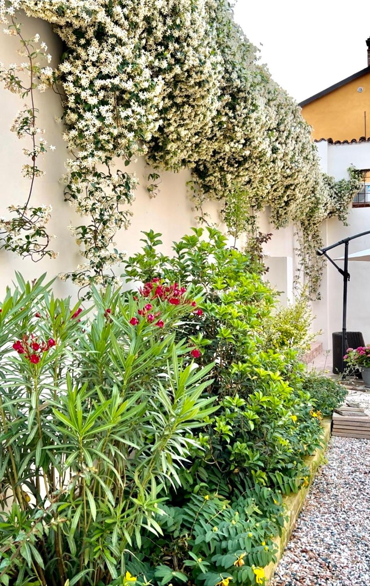 Pizzighettone Residenza La Corte Exterior photo